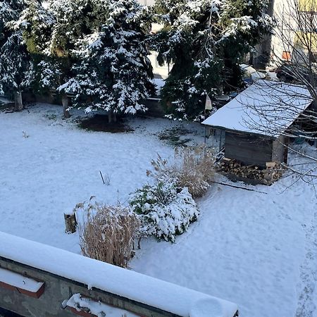 Ferienwohnung Dieblich An Der Mosel Luaran gambar