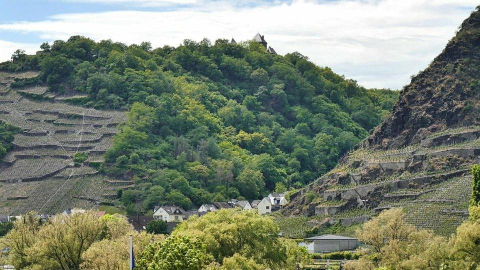 Ferienwohnung Dieblich An Der Mosel Luaran gambar