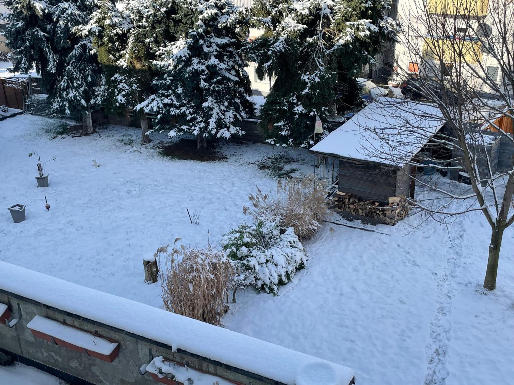 Ferienwohnung Dieblich An Der Mosel Luaran gambar