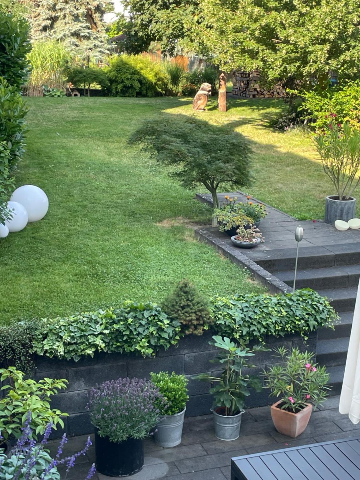 Ferienwohnung Dieblich An Der Mosel Luaran gambar